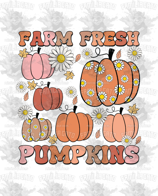 Fall - Farm Fresh Pumpkins #2 DTF Transfer