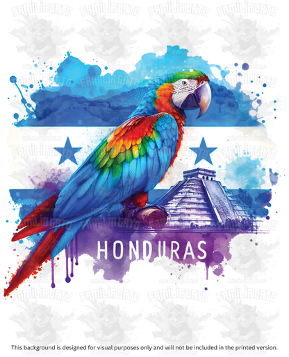Honduras Guacamaya #2 DTF Transfer