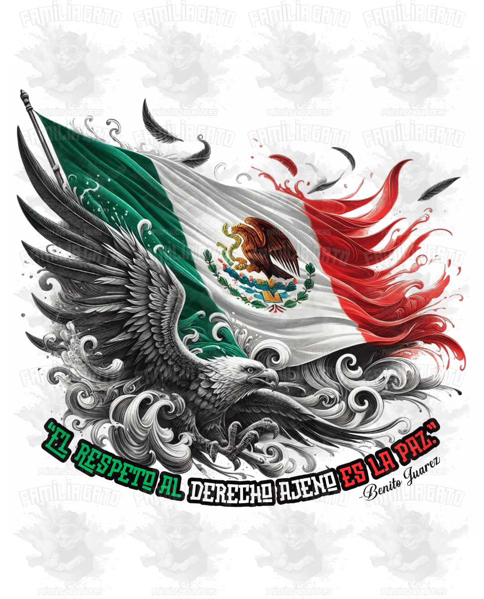 Mexican Flag El Respeto es la Paz DTF Transfer