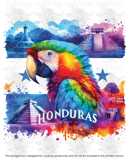 Honduras Guacamaya #3 DTF Transfer