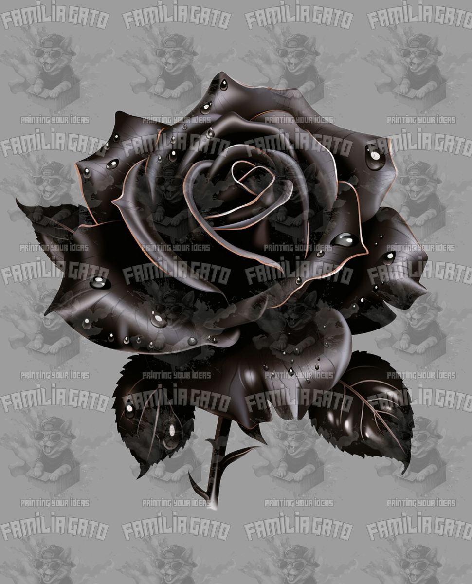 Classic Black Rose DTF Transfer – Familia Gato