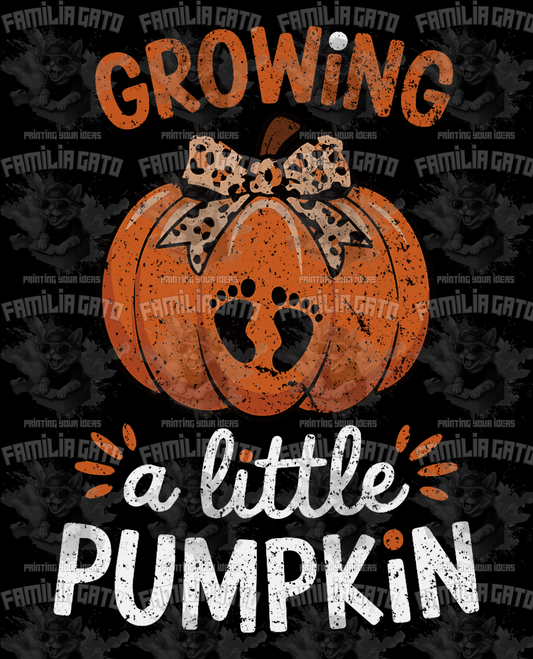 Growing A Little Pumpkin DTF Transfer