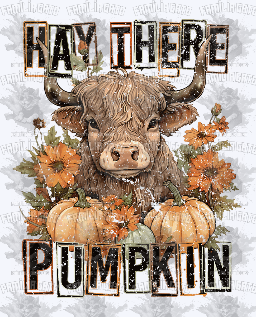 Hay There Pumpkin DTF Transfer