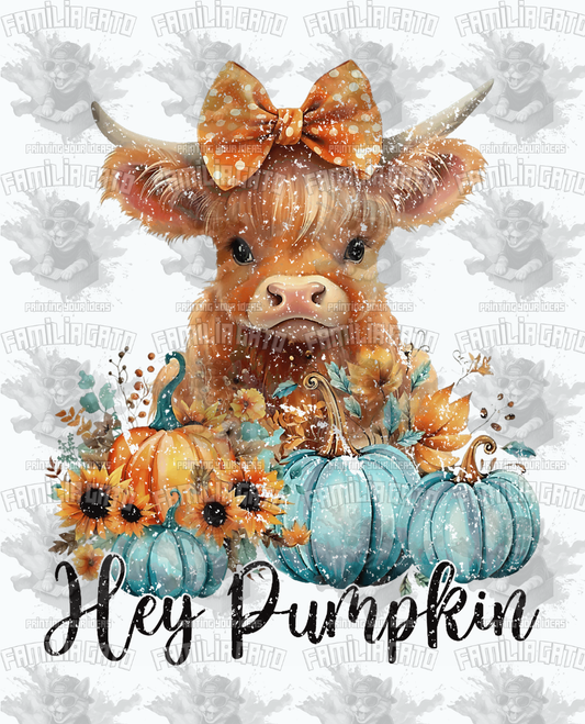 Hey Pumpkin DTF Transfer
