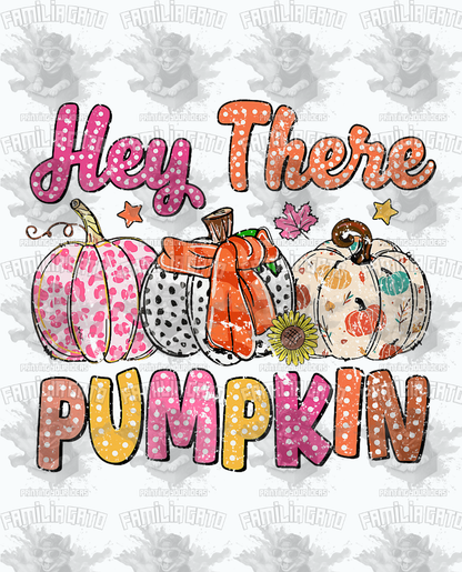 Hey There Pumpkin DTF Transfer
