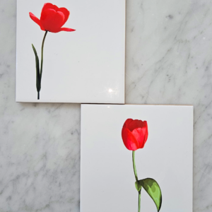 Your Own Design - Ceramic Tiles